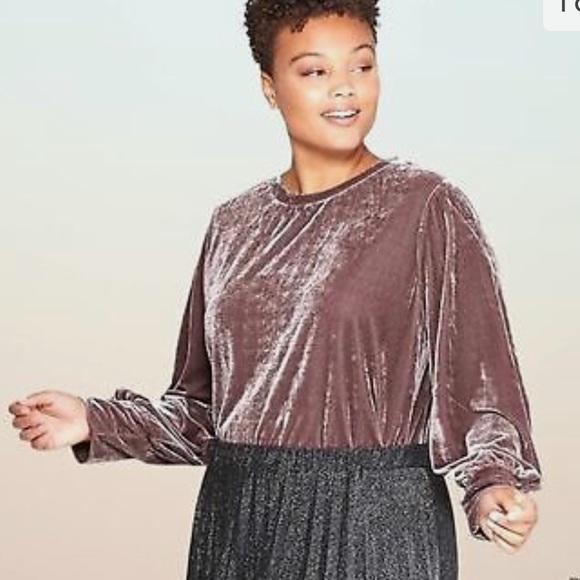 Ava & Viv Velour Blouse - Picture 1 of 7